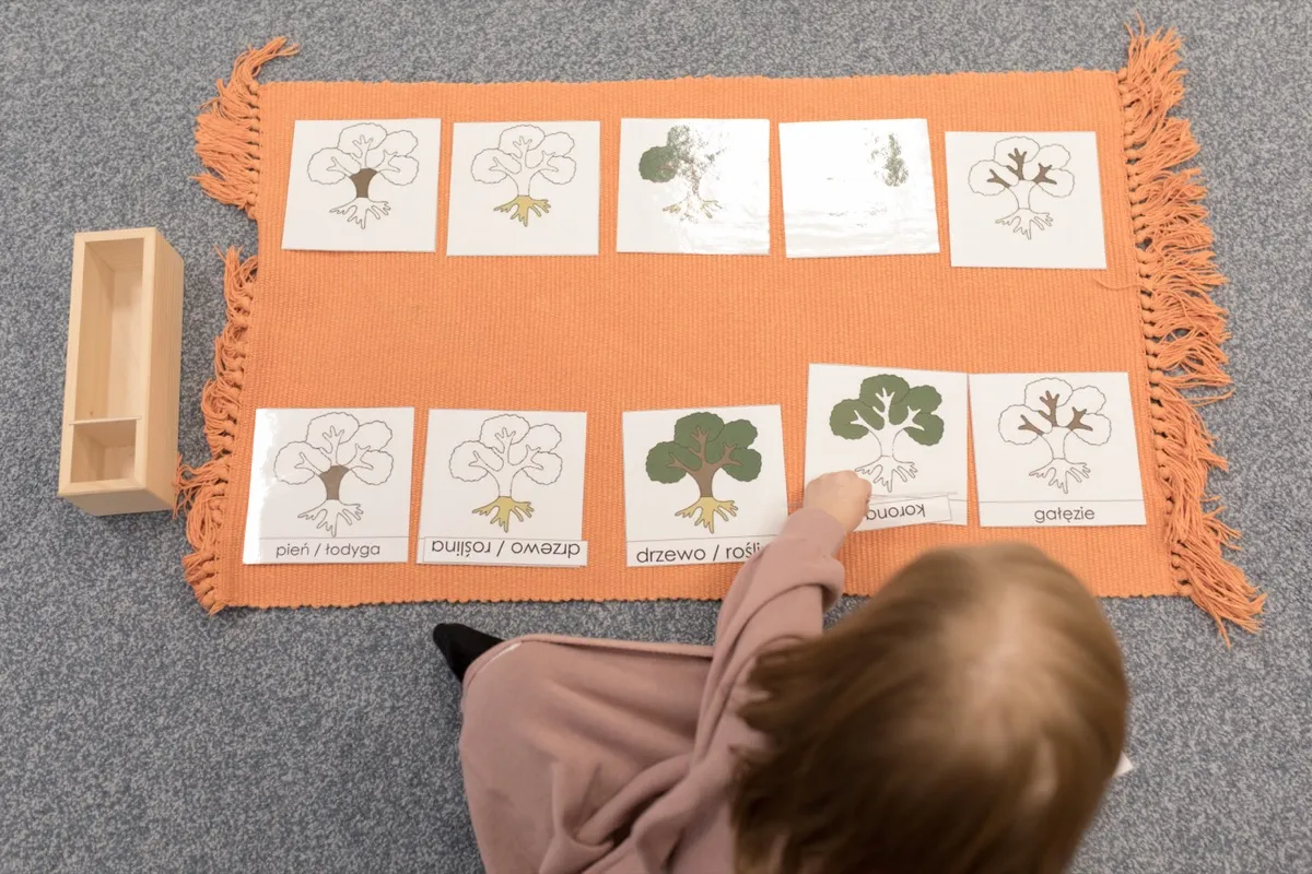 Sala Żłobkowa Łąka — dziecko pracuje z kartami botanicznymi Montessori